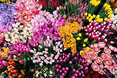 《六边星球》发布最新预告片 掌控异星机器人文明